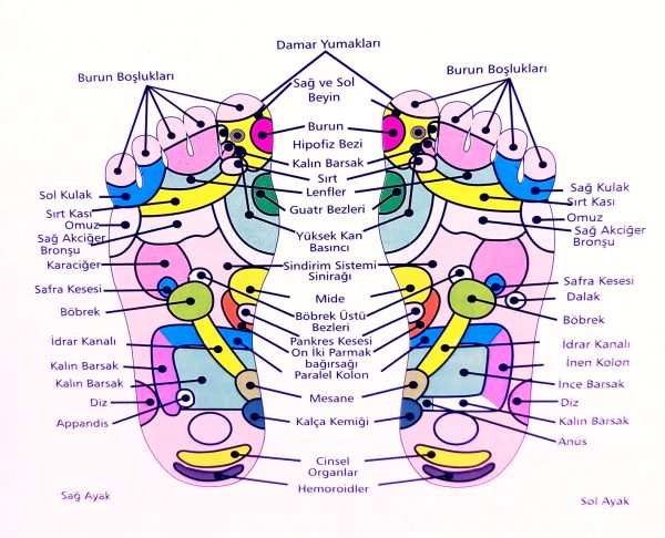 Comfort - Ortapedik Deri Spor Ayakkabı